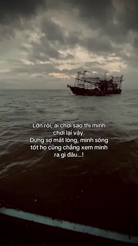 Lớn rồi, ai chơi sao thì mình chơi lại vậy thôi #xuhuong #caphay #nhachaymoingay #nhachay #xuhuongtiktok 