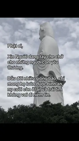 🪷#phepmau #phatgiao 