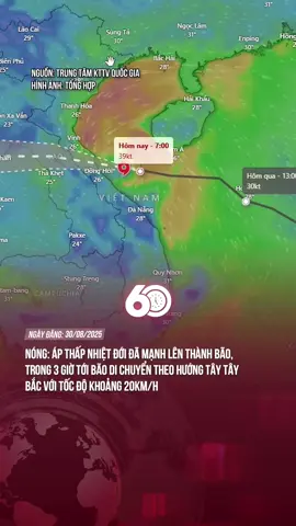 MONG BÃO YẾU ĐI #60giay #tiktoknews #theanh28 