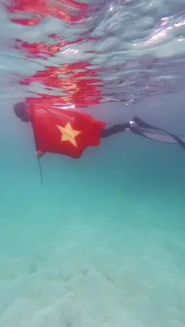 Chào mừng kỉ niệm 80 năm ngày Quốc khánh Nước Cộng Hoà Xã Hội Chủ Nghĩa Việt Nam..   🇻🇳🇻🇳🇻🇳02/09/1945-02/09/2025🇻🇳🇻🇳🇻🇳 #Dulich #Đặckhu #Đảophuquy #frediving