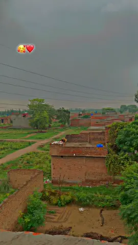 وہ میرے میری فیملی کا حصۂ ہے جسے میں جان کہ کر بلاتا ہوں ۔🥰❤️۔؀