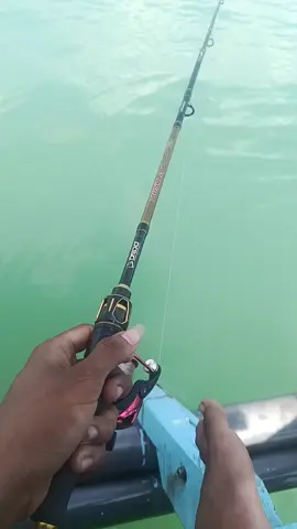 iwak tempekk #mancing #ikan #laut 