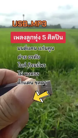 #รวมเพลงลูกทุ่งเพราะๆ #แฟลชไดร์ฟเพลงลูกทุ่ง 