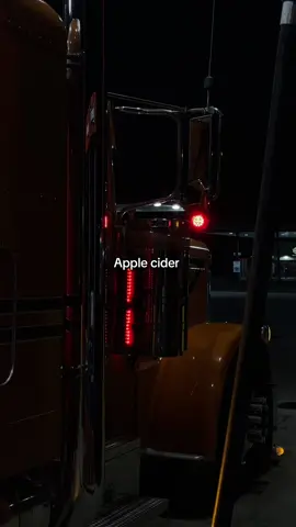 Wait we’re supposed to sleep? 🫣#orangecrush #peterbilt #truckersoftiktok #truckerlife #trucksoftiktok 