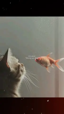 Trong suốt cuộc đời, tất cả những mối quan hệ ta có đều không ngừng thay đổi. Có người chỉ tình cờ gặp gỡ trong một ngày, nhưng lại khiến ta đủ tin tưởng để mở lòng. Thế nhưng cũng có người, dù quen biết đã lâu, trái tim ta vẫn không thể mở cửa. Sự thân thiết chưa bao giờ tỉ lệ thuận với thời gian. Thời gian có thể cho ta sự quen thuộc, nhưng chỉ những kỷ niệm mới có thể tạo ra sự gắn kết. Một câu nói đúng lúc, một sự hiện diện khi ta yếu lòng, một kỷ niệm nhỏ nhưng chạm vào nỗi đau hay niềm vui sâu kín - đôi khi lại trở thành sợi dây gắn kết mạnh mẽ hơn cả năm tháng. Thứ khiến một mối quan hệ trở nên ý nghĩa, không phải là số năm chúng ta bên nhau, mà là những gì đã cùng nhau đi qua. Một tình bạn có thể chỉ được tính bằng vài tháng, nhưng nếu trong khoảng thời gian ấy, hai người đã thật lòng sẻ chia, đã cùng nhau lưu giữ những ký ức không thể quên, thì mối quan hệ đó đã đủ đầy giá trị. Những mối quan hệ như thế chính là “chữa lành” - vì khi nhớ lại, ta không thấy tiếc nuối, không thấy mệt mỏi, mà thấy lòng nhẹ nhõm, bình yên. Rồi sẽ có lúc ta phải buông bỏ, phải xa nhau. Nhưng điều còn lại trong tim không phải là thời gian bao lâu, mà là những kỷ niệm sâu sắc đã từng làm ta mỉm cười, đã từng làm ta cảm thấy được hiểu, được thương. #PetsOfTikTok #petlover #cat #podcast
