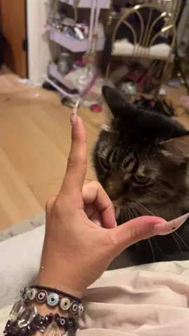 Romeo edition ❤️‍🔥