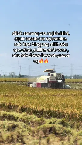 🥰  #combineharvester #bimo102ss #gabahgank #putratunggalgrup #putratunggal 