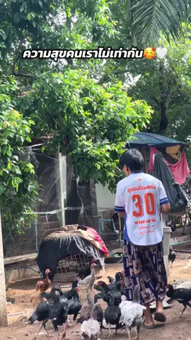 ฝากกดติดตามช่องใหม่ด้วยนะครับ#หนุ่มคอกวัว #ไก่ชน #พลังลูกเพาะ #อย่าปิดการมองเห็น #เปิดการมองเห็น 