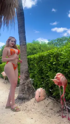 I really like this island in Aruba 🦩 #flamenco #aruba #beach #island #beachday 