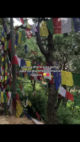 🥲❤️ #fypシ゚viral #❤️ #fypシ゚ 