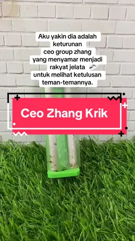 #tingwe penghemat untuk kakek. Alat tingwe murah. Aku yakin dia adalah keturunan ceo group zhang yang menyamar menjadi rakyat jelata untuk melihat ketulusan teman-temannya. Kembalinya ceo group zhang #drachin #dracin 