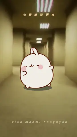 谁是我的宝宝 #小猫咪汉语言 #Wink #fyp 