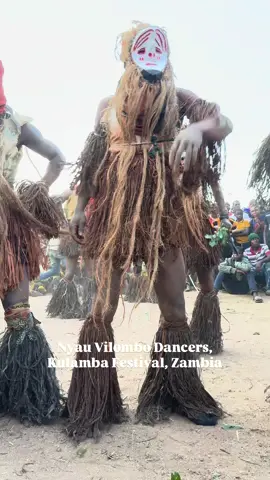 The Nyau dancers are central to Chewa culture and play a leading role in the Kulamba Ceremony. They are members of a secretive society known as the Nyau brotherhood, which functions both as a spiritual institution and a form of social governance. To the Chewa, these dancers are not seen as ordinary men but as temporary embodiments of spirits—ancestral, animalistic, or even representations of abstract ideas. When they step into their costumes and masks, they cross into another identity, no longer themselves but messengers from the spirit world. The dancing itself is highly symbolic. Nyau performers use vigorous, often acrobatic movements, stamping rhythms, and sudden gestures that match the intensity of drumbeats and chants from the community. Each dancer has a unique style depending on the character they embody: for example, the Njobvu (elephant) moves with slow, heavy steps to symbolize power and leadership, while smaller animal figures like antelopes or birds move quickly and lightly to reflect agility. Some characters are comical, mocking human behaviors like greed or laziness, while others are terrifying, meant to remind people of death and the authority of the ancestors. The costumes are just as important as the movements. They are made from a mix of natural and modern materials—bark, grass, animal skins, rags, beads, and even plastics—depending on the message the dancer wants to convey. Masks (zikomo) may represent animals, spirits, or exaggerated human faces, with some towering over the dancers in height. These disguises conceal identity completely, reinforcing the belief that the figure is no longer human but something otherworldly. At night, when the dances are performed by firelight, the masks and costumes appear even more haunting, turning the dance into a living drama of morality, spirituality, and community memory.