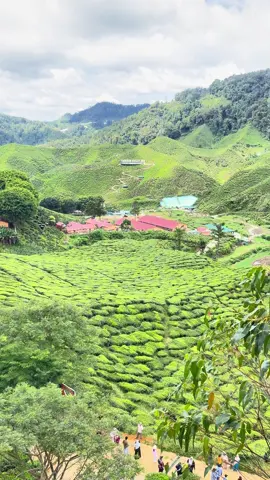 Pergi cameron bukan semata nak shoping, tapi suka suasananya yang sangat tenang dan sejuk... alangkah indahnya dapat tinggal disini ya..  siapa yang suka datang cameron?? Cuba komen sikit korang suka pergi area mana... #cameronhighland #cameronvalleyteahouse2 #holiday #cameronhighlandsmalaysia #