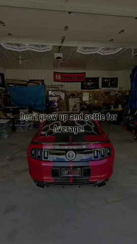 Grind Harder #gt500 #Money #life #mustangs #quotes 
