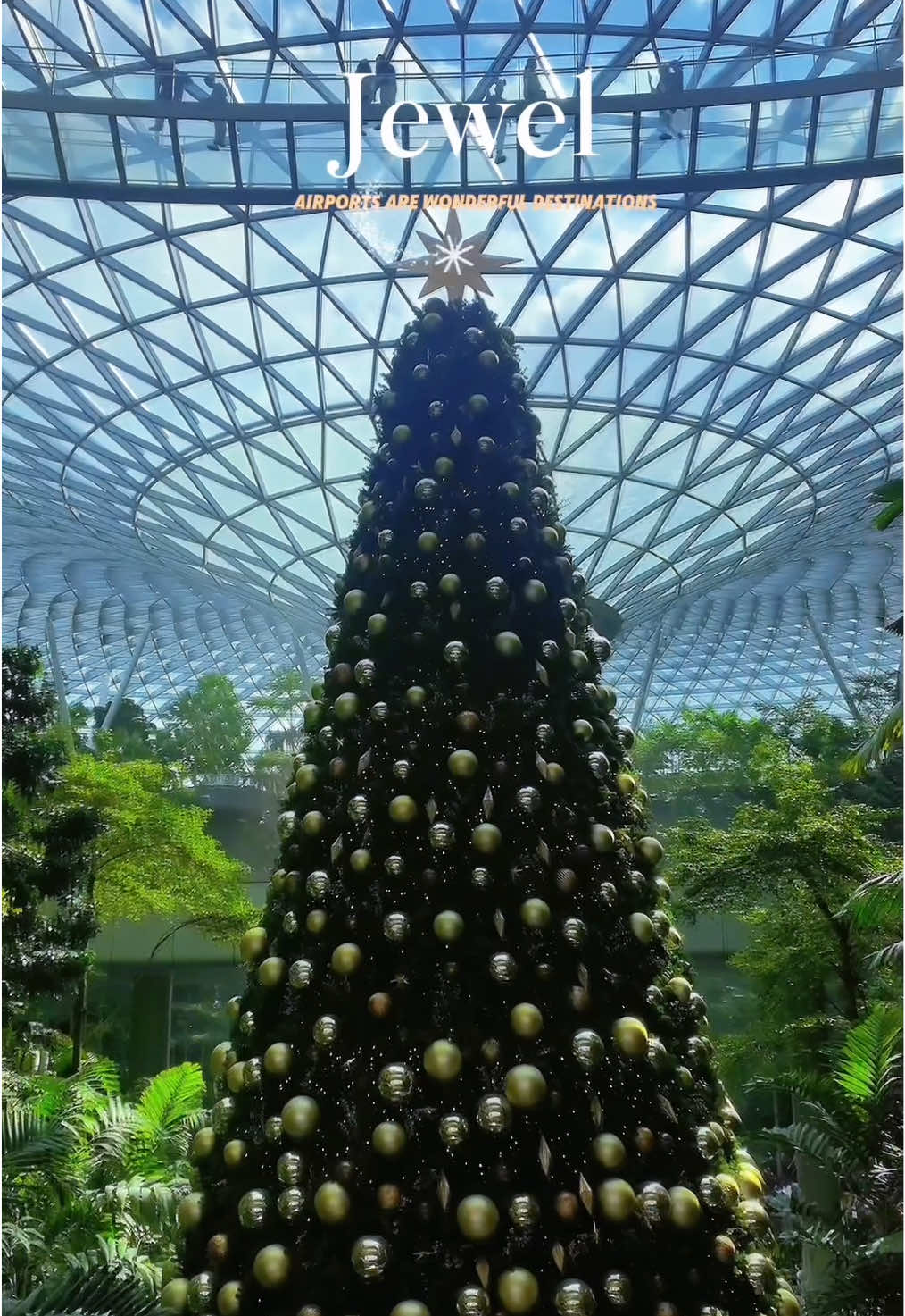 🇸🇬Recording of Jewel Changi Airport🛍️#singapore #changiairport #airport #southeastasia #train   