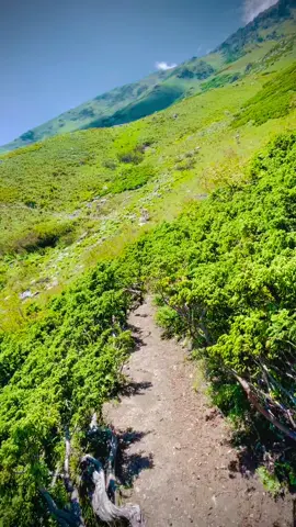 #LIVEIncentiveProgram #GenuineInteractionMatters #PaidPartnership 