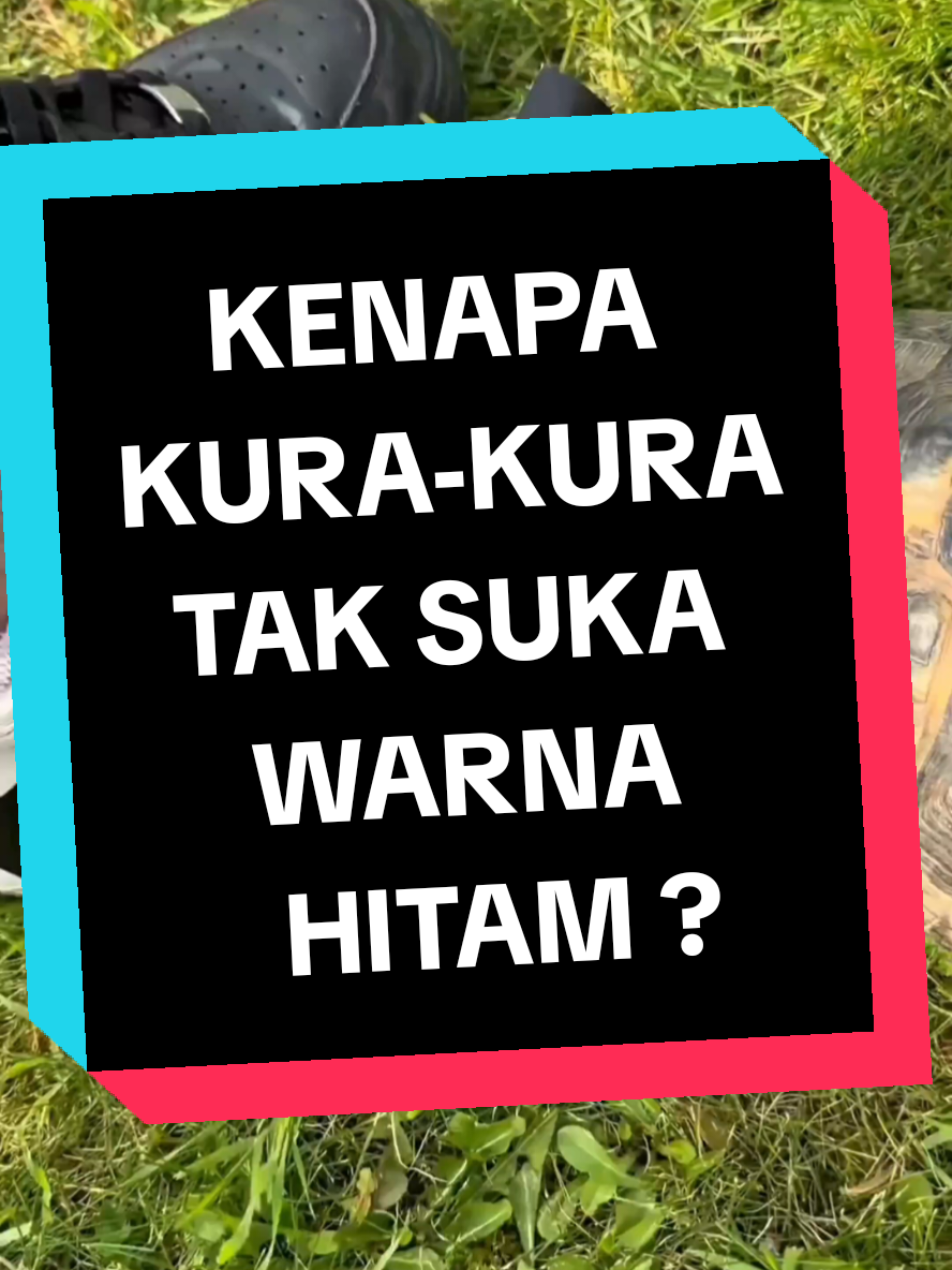 Replying to @rizzz2942_rizz 