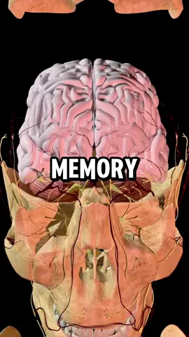 Food is medicine.. Did you know the last one 🌿 #health #nutrition #healthylifestyle #wellness 