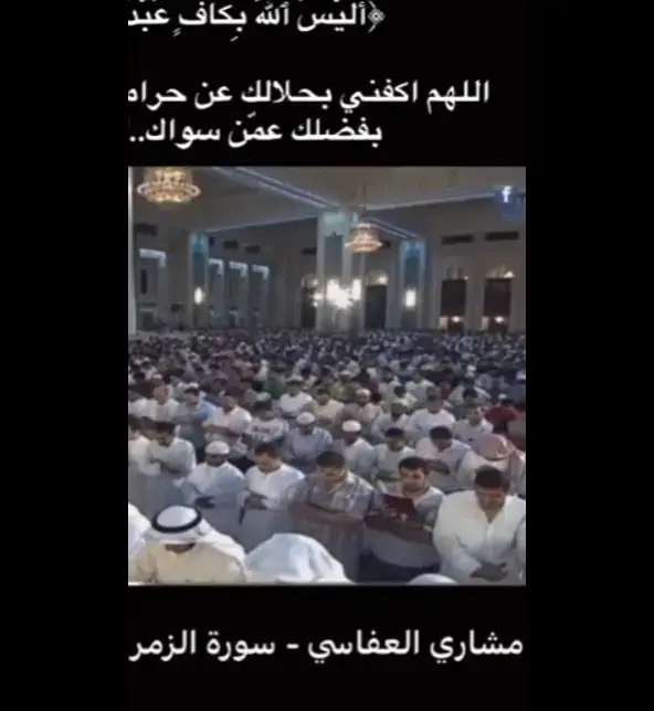 استغفرالله ♡. الحمدلله ♡. لا إله إلا الله ♡. الله أكبر ♡. بسم الله ♡. سبحان الله وبحمده ♡. سبحان الله العظيم ♡. لاحول ولا قوة الا بالله ♡. صلو على النبي ﷺ ♡.#قران #قران_كريم #quran #اكسبلور #creatorsearchinsights 