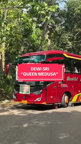 ref nada bukit berbunga memang secandu ini🤩 #huntingbus📸 #basurihorn #dewisri #busmaniacommunity #fyp 