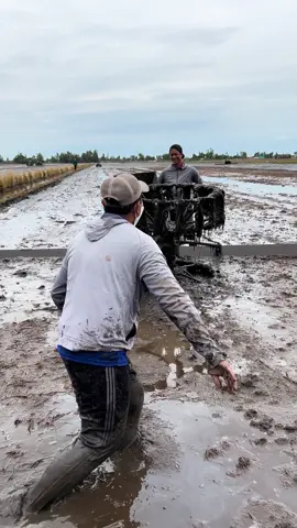 Idol @thuannguyen quá báo rồi mấy ní ơi 🤣@Duy Kha 🚜☘️💵 @quốc toàn 98 @Nguyễn Trường #66đồngtháp #xhtiktok #zt155บ้าพลัง💯🔰 