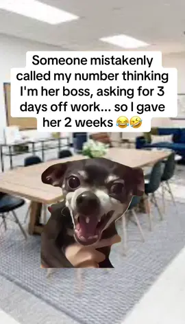 #funnydog #dogmemes #teachersoftiktok #fyp #trending 