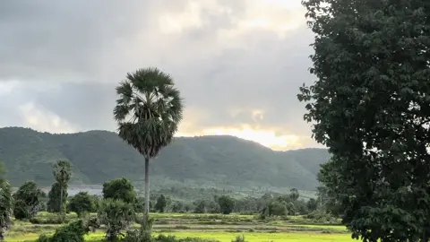 យេីងកេីតចេញពីគ្រួរសារអ្នកអត់សំណាងយេីងស្តួចស្តេីងជាងគេបន្តិចមែន តែបេីមានឧកាសធ្វេីការសូមធ្វេីការអោយអស់ពីចិត្ត… #fyp  #foryou #foryoupage 