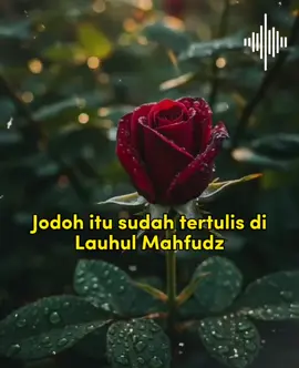 #CapCut  jangan bersedih bwt yg tiba