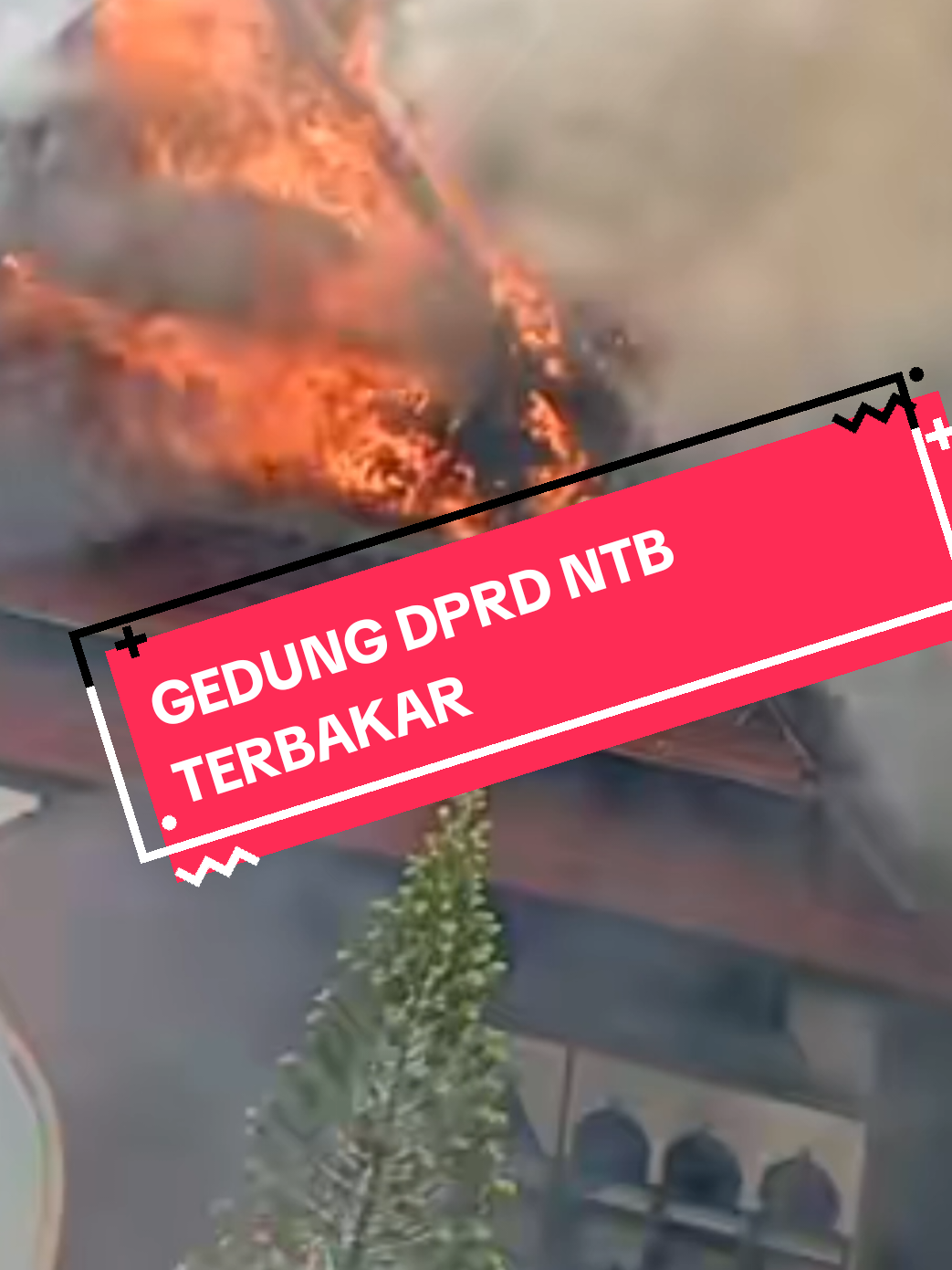 GEDUNG DPRD NTB TERBAKAR #demo #ojol #fyp #viral #dpr 