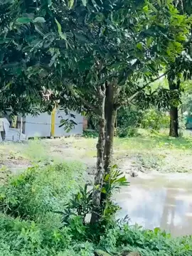 অনাহারে বেঁচে আছে এই যুবক #vairalvideo #pfy #foryoupage #foryou #bangladesh 