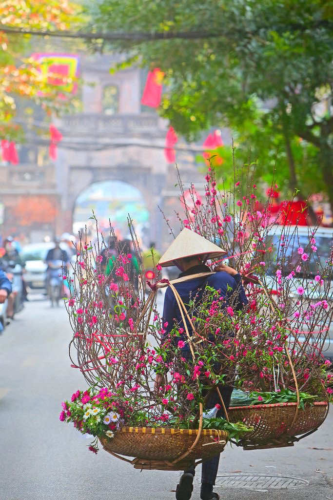 Có ai ở đây nôn Tết như mình không nhỉ?#tet2026🧨🧨🧨🧨🧨🧧🧧🧧 #tetnguyendan 