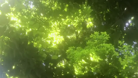 Một cuộc sống tự do là toàn bộ hoài bão của tôi. Giữa ồn ào của thế giới, tôi kiên định là chính mình. Tôi chỉ ra ngoài một lần và vô số lần, và lần nào tôi cũng bị choáng ngợp bởi sức mạnh và vẻ đẹp của thiên nhiên. Đến lúc này, tôi chỉ muốn nói rằng một cuộc sống tự do là toàn bộ hoài bão của tôi. #chualanh #binhyen #thiennhien #caption 
