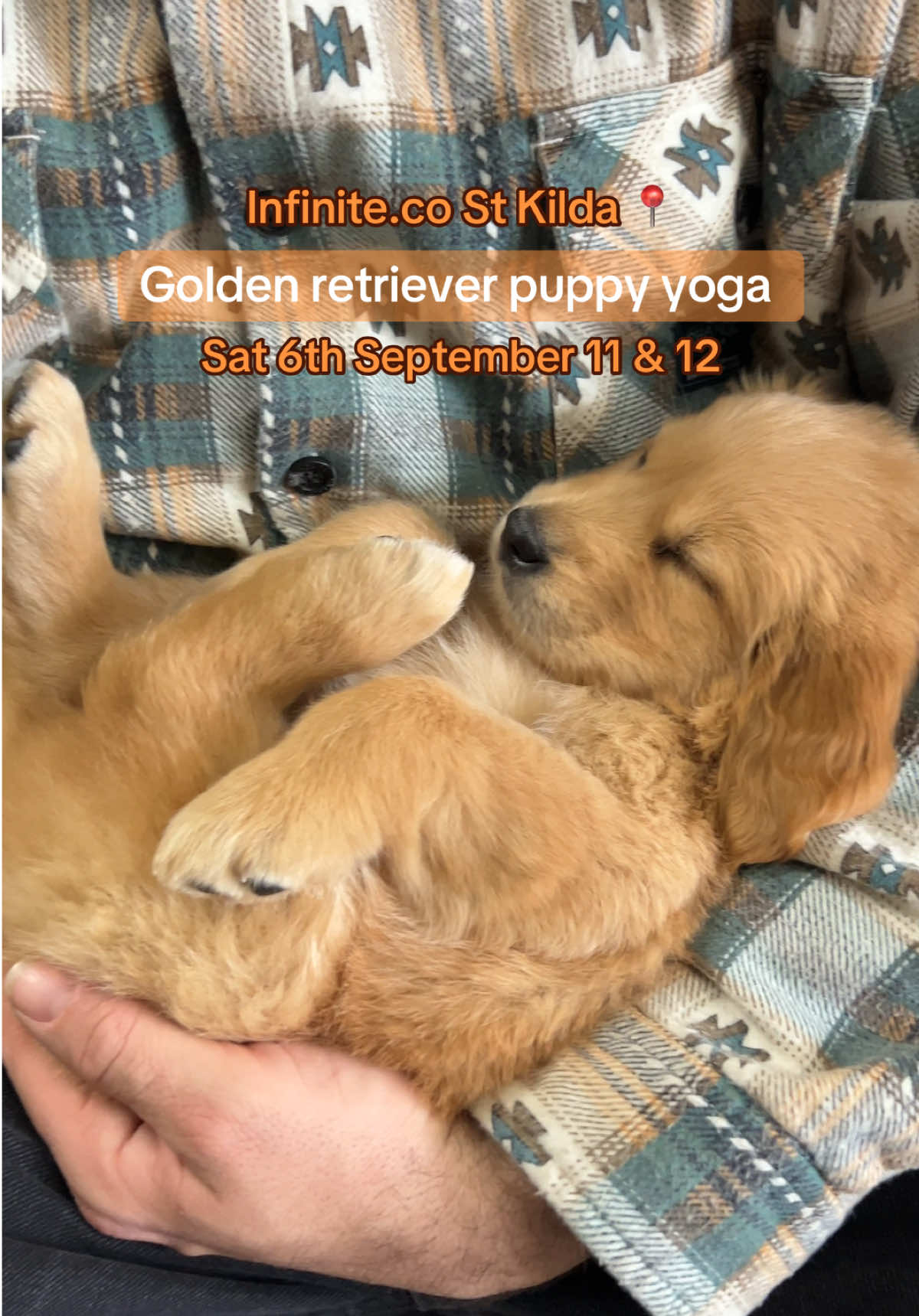 Sleepy puppy 🐶 🐾 #goldenretriever  #puppyyogamelbourne #goldenretrieverpuppy #stkilda 