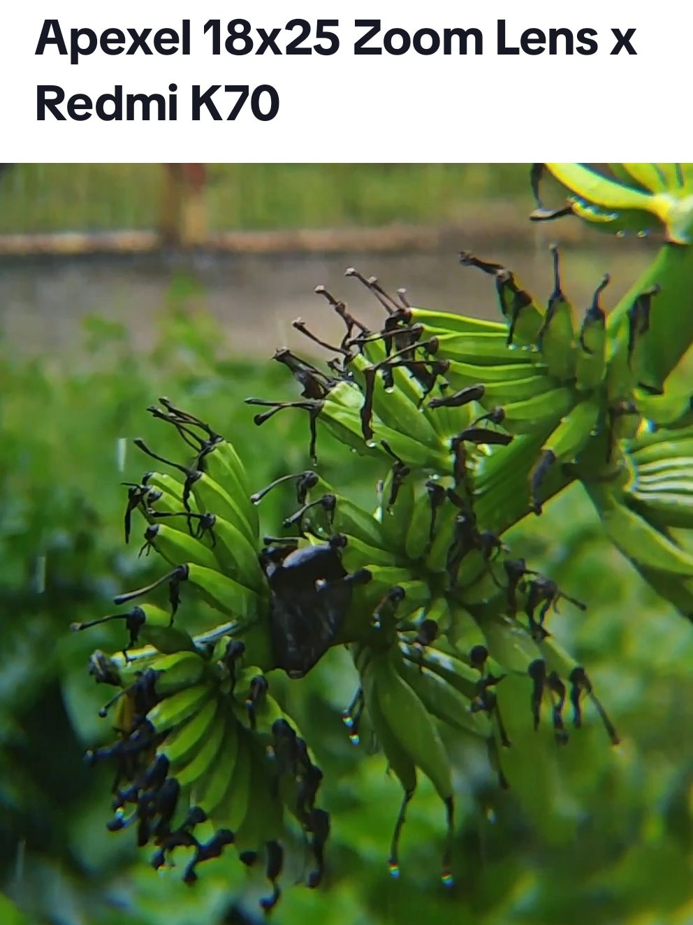 apexel 18x25 Telephoto Lens x Redmi K70 #apexel18xzoom #apexel18x25zoom #cenimatic #rain 