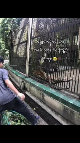 #မချေပါဘူးနော်🤨 