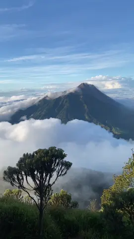 #merbabu #merbabumountain #merbabu3142mdpl #merbabuviaselo 