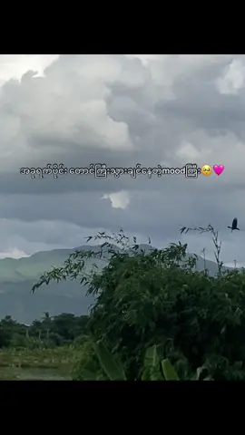 လူကမန်းလေးမှာစိတ်ကတောင်ကြီးမှာ🥹#foryoupage #fyp #views 