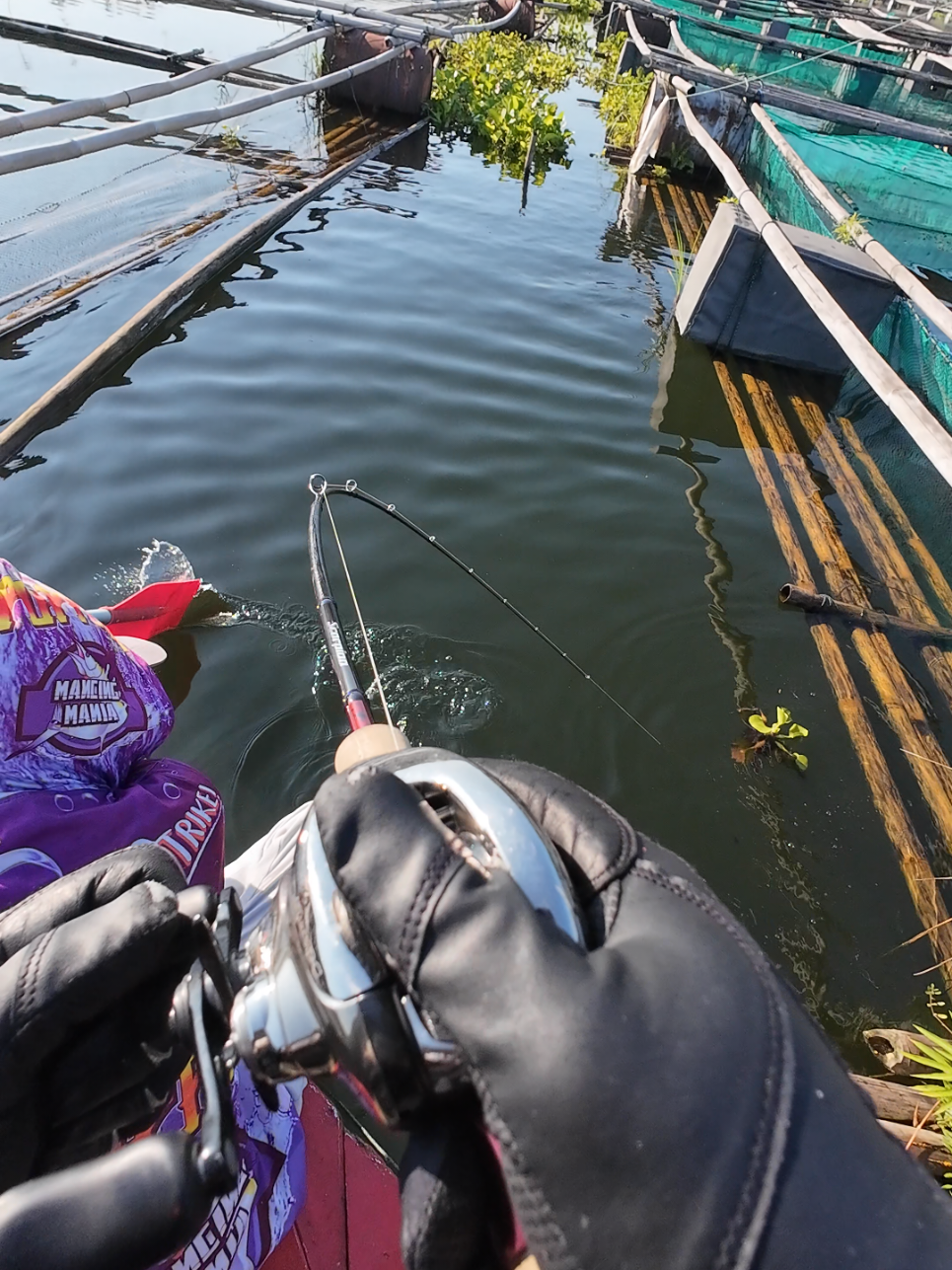 TEKONG MUDA BERSEMI KEMBALI 🗿 #mancing #castingtoman #shimano #fishing #jatiluhur 