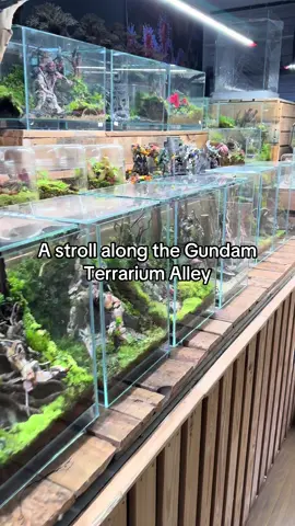 My Gundam corner! #gundam #gundamcommunity #gundamlover #gundambuilder #diorama 