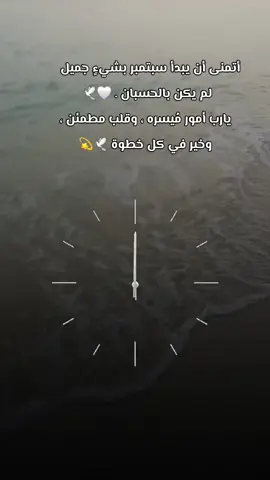 أتمنى أن يبدأ #سبتمبر بشيءٍ جميل لم يكن بالحسبان . 🤍🕊 يارب أمور مُيسره ، و#قلب_مطمئن ، وخير في كل خطوة 🕊💫#صباحاتي_الجميله 