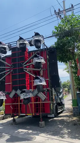 sound jember an 🔥🔥  #horegjatim #karnavalkarangrejo #protonsaudiojember 