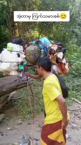 #viral #foryoupage #ကြက်သမားလေးပါ💓🐓❤ 
