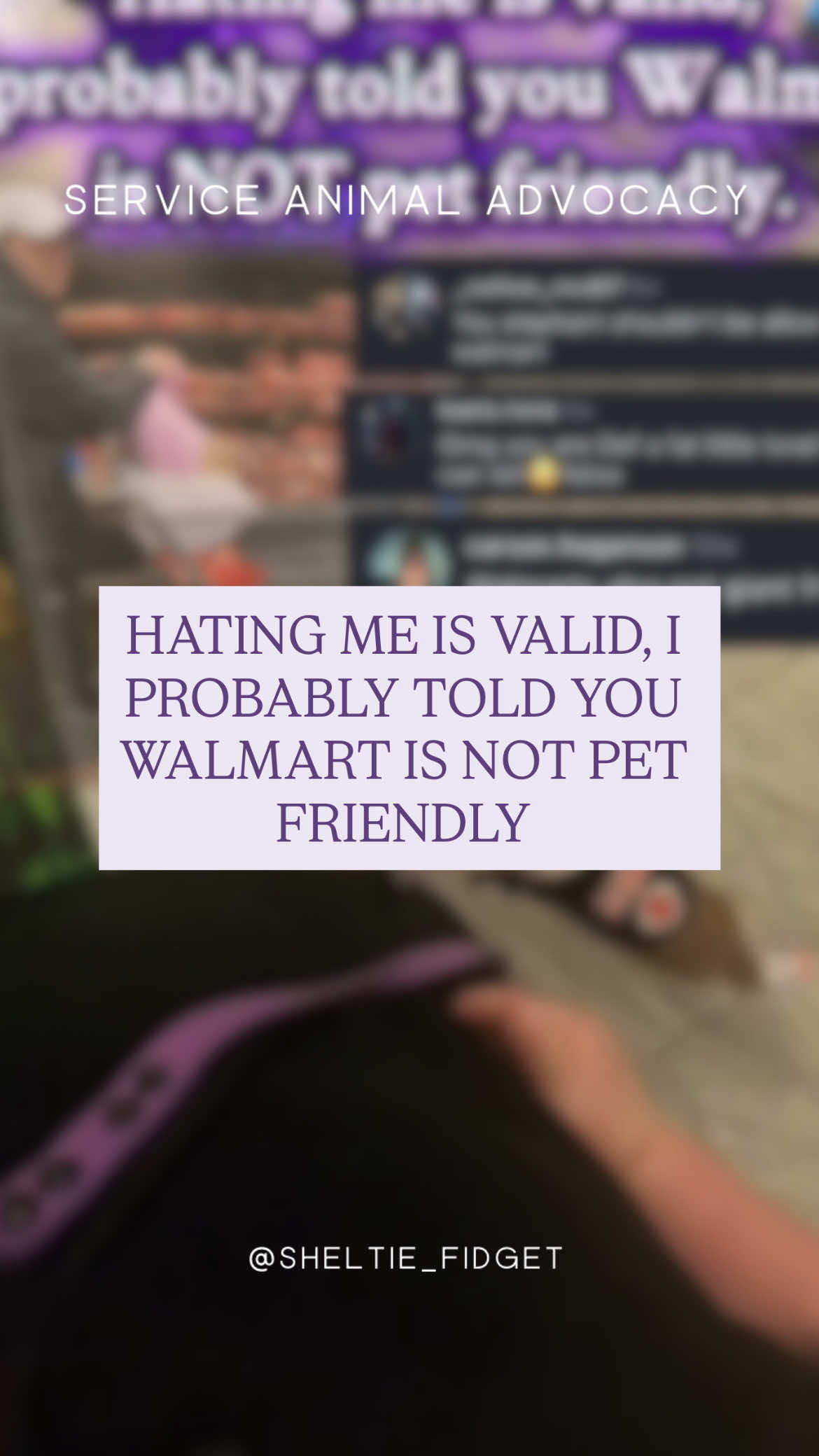 “Hating me is valid. I probably just told you the truth that Walmart is NOT pet friendly.” 🛑🐾 * Walmart’s own corporate policy is clear: only service animals are allowed inside their stores. Signs at the entrances say the same thing — no pets allowed. This isn’t me being dramatic, it’s federal law and public health code. * The FDA Food Code (6-501.115) prohibits live animals in establishments where food is sold, prepared, or served (with the only exceptions being service animals and certain secured fish/reptiles in tanks). Because Walmart sells groceries, pets are simply not permitted. * So no, it’s not “my rule” or “me being mean.” It’s Walmart’s corporate statement, the FDA code, and the literal signs on the doors. Service animals = medical equipment. Pets = stay home. * * We do not, have not and never will condone any threats or harassment towards individuals featured within this post.  * * #servicedogs #viral #fyp #servicedogcommunity #walmart