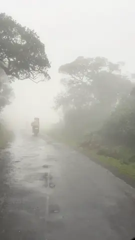 මීදුම් මැදින්... 💆🏻‍♀️🍃                #viralvideo #foryou #onemillionaudition #hortonplains 