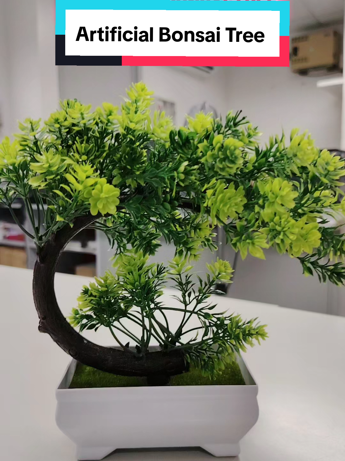 Perfect for Room and dining Area natin Lakas maka Aesthetic ang Dating. Potted Artificial Bonsai Tree. Pwedeng-pwede rin to for backgrounds sa mga videos especially sa mga affliate. Affordable #artificialplants #homedecor #bonsaitree #homedecorideas #diningroom 