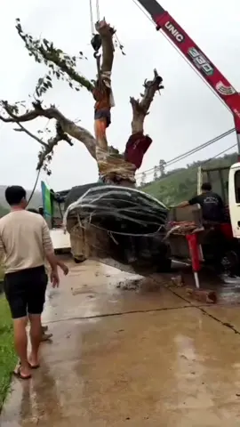 cẩu 3 tấn hàng  gần 4 tấn ,đi làm  trúng  ngày chủ nhật  ,ko có phụ đang tập  trung  cao độ  ướt cả háng mà  hắn cứ :ra cần đi em ơi,ra cần đi em ơi,may là  mình đuổi ra chứ ko chắc đè lun thằng  chả. 