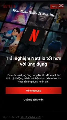 Nhận Cookie Netflix Ib Mình