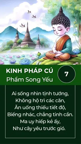 [P7] PHẨM SONG YẾU  Kinh Pháp Cú - 007 — Ai sống nhìn tịnh tướng, Không hộ trì các căn, Ăn uống thiếu tiết độ, Biếng nhác, chẳng tinh cần. Ma uy hiếp kẻ ấy, Như cây yêu trước gió.   — 30.08.2025 | 拂晓 • Phất Hiểu #拂晓 #phathieustt #kinhphapcu