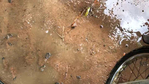 ✌️conn 🤍❤️ lỏ🥹#xh #siriusblack #họcsinhcấp2 